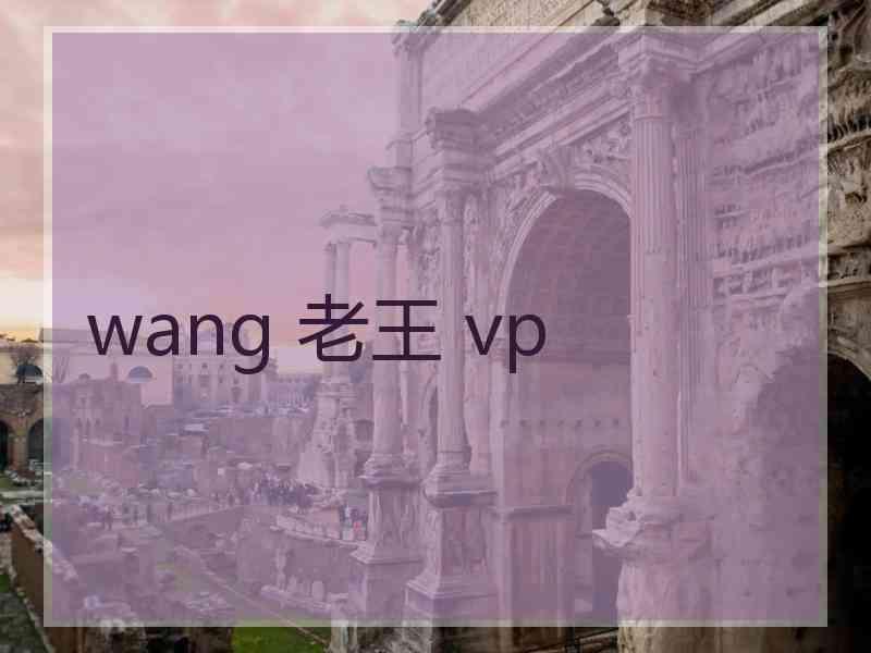 wang 老王 vp