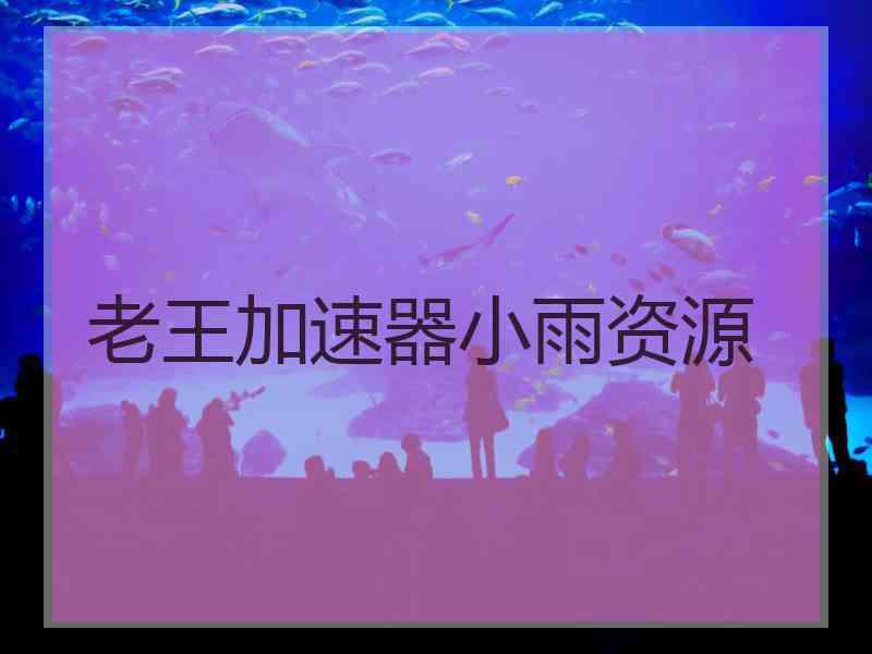 老王加速器小雨资源