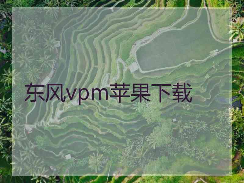 东风vpm苹果下载
