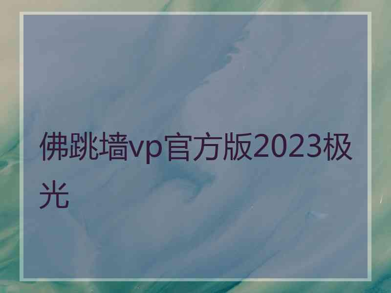 佛跳墙vp官方版2023极光