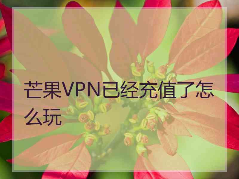 芒果VPN已经充值了怎么玩