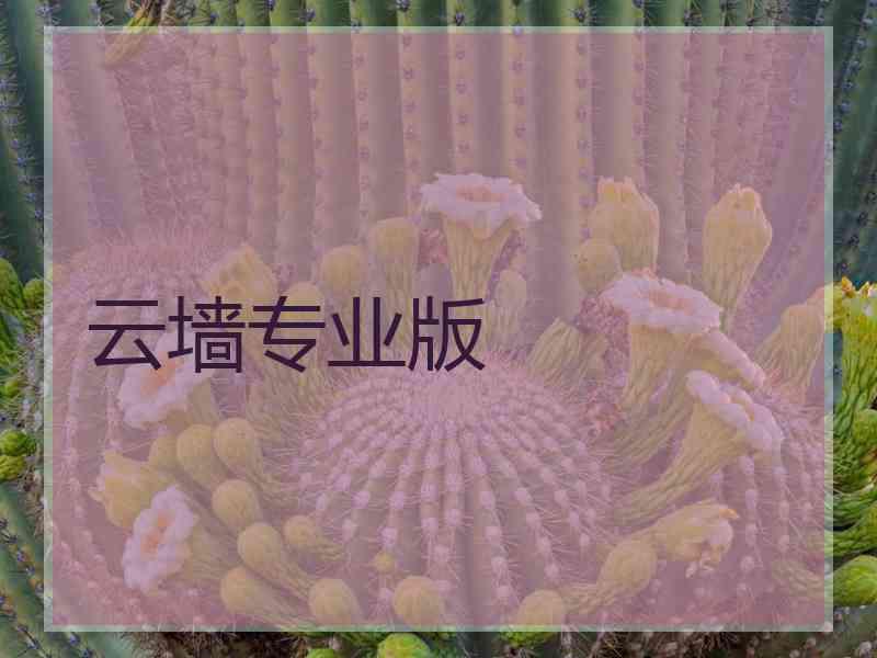 云墙专业版