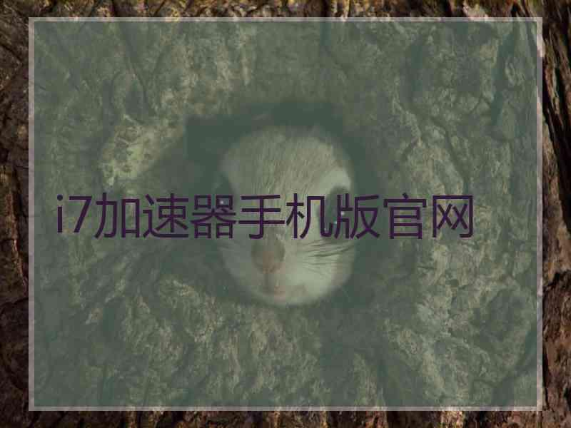 i7加速器手机版官网
