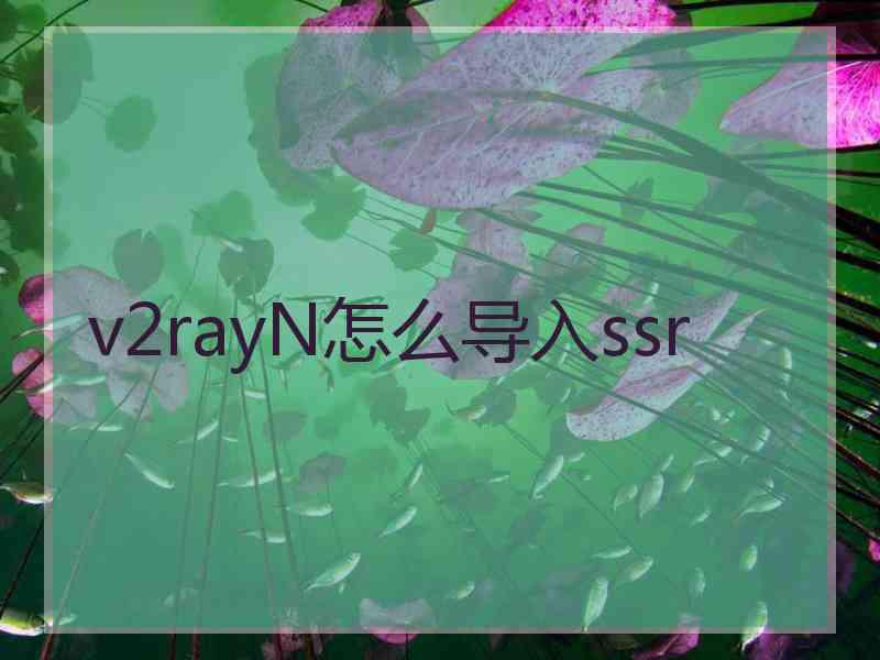 v2rayN怎么导入ssr