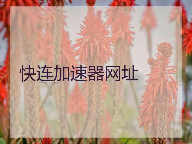 快连加速器网址