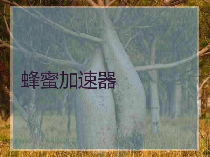 蜂蜜加速器