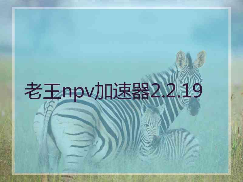 老王npv加速器2.2.19