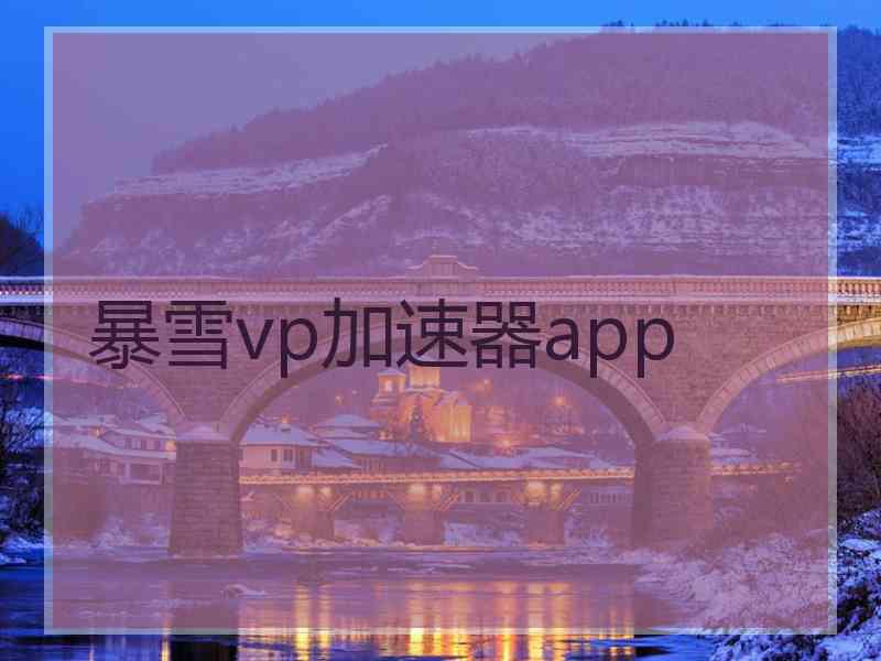 暴雪vp加速器app