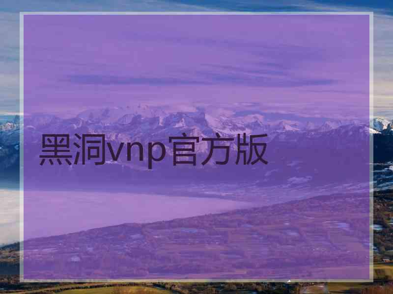 黑洞vnp官方版