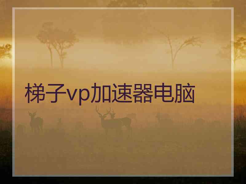梯子vp加速器电脑