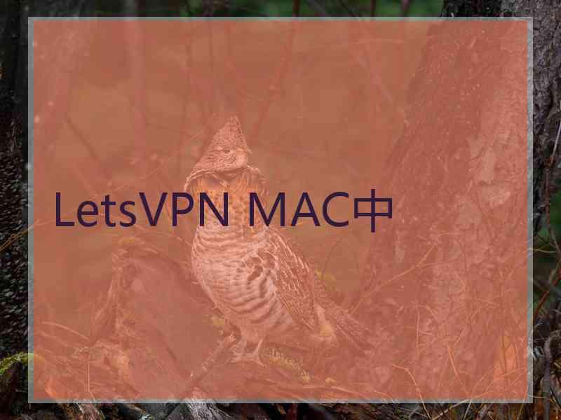 LetsVPN MAC中