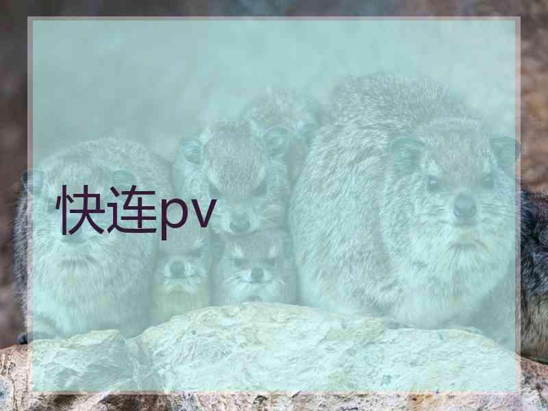 快连pv