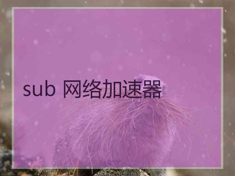 sub 网络加速器