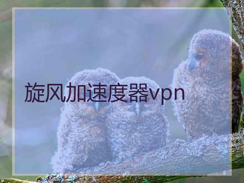 旋风加速度器vpn
