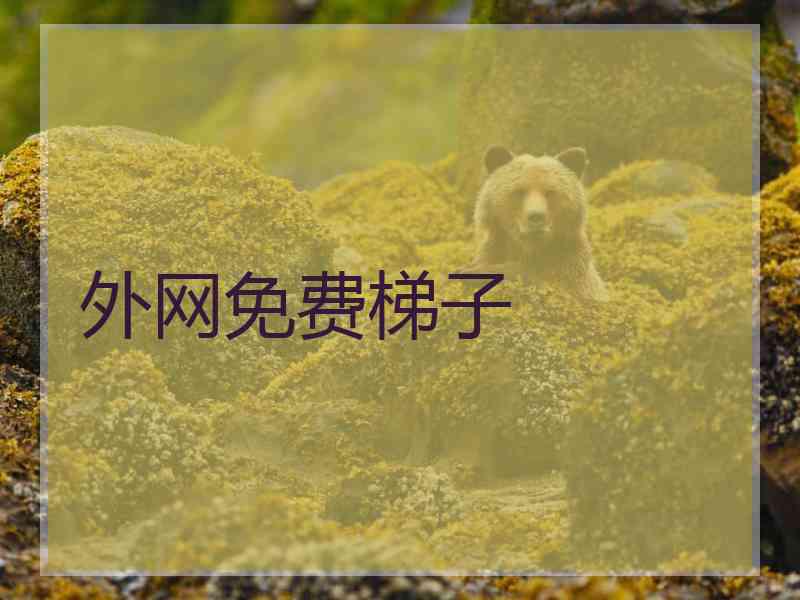 外网免费梯子