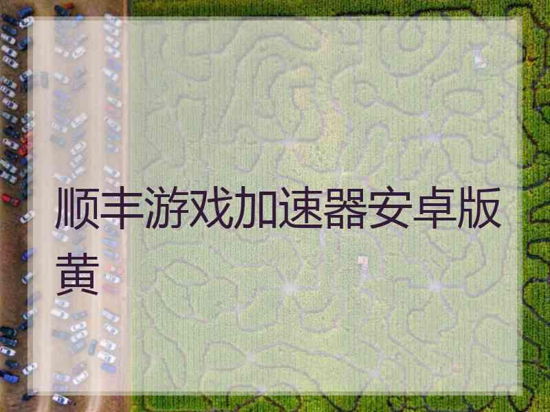 顺丰游戏加速器安卓版黄