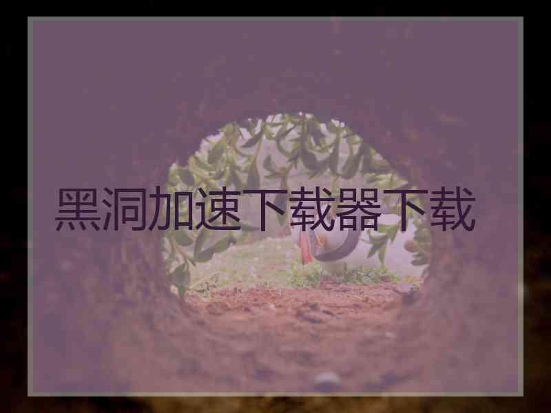 黑洞加速下载器下载