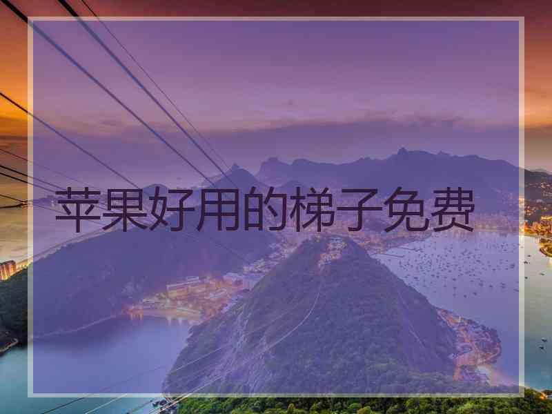 苹果好用的梯子免费