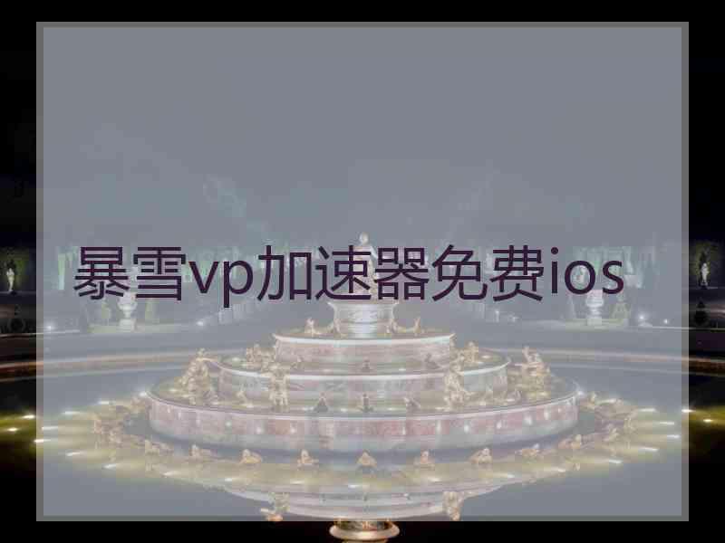 暴雪vp加速器免费ios