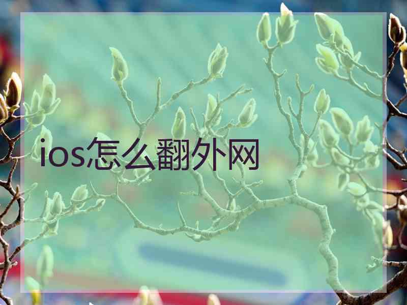 ios怎么翻外网