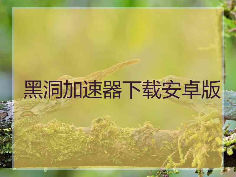 黑洞加速器下载安卓版
