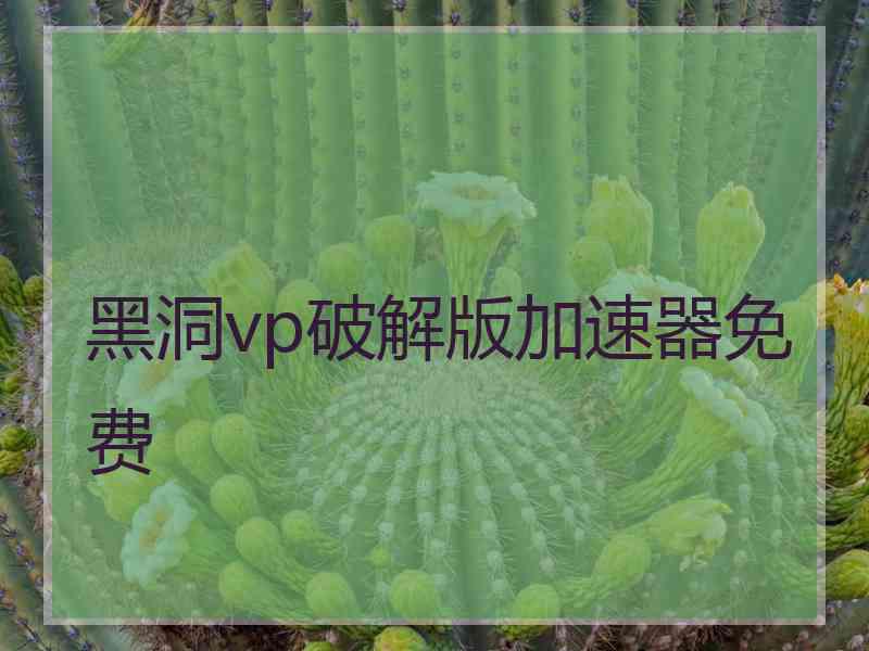 黑洞vp破解版加速器免费