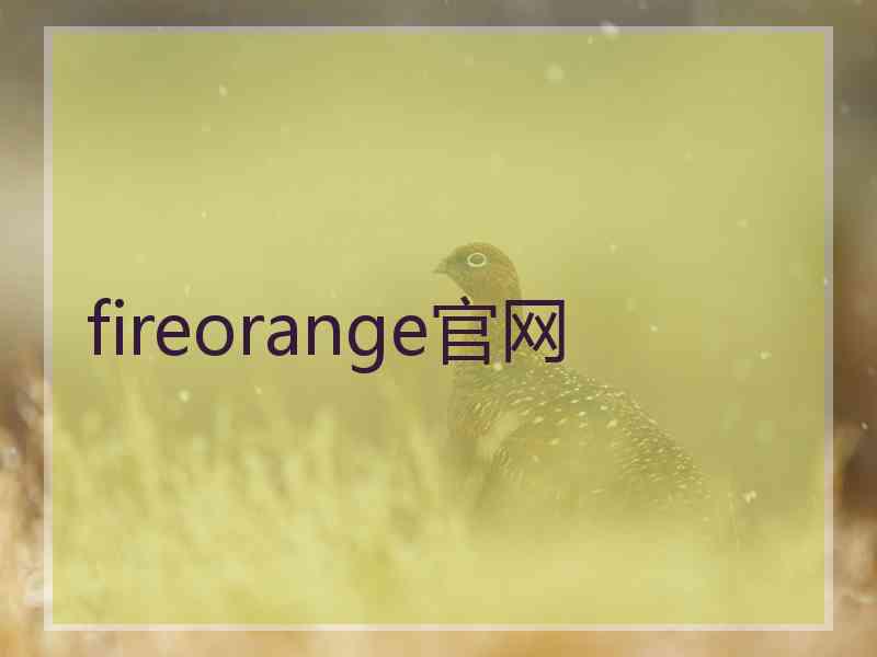fireorange官网