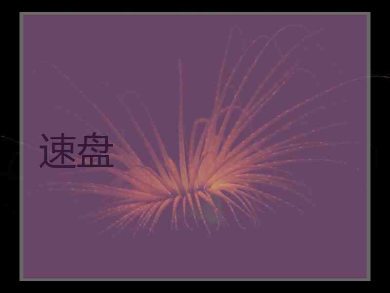速盘