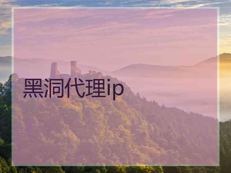 黑洞代理ip