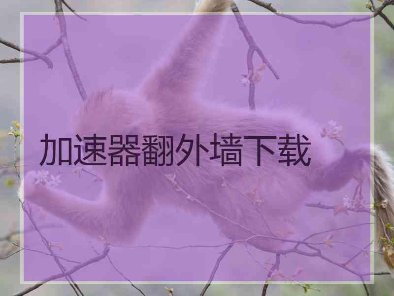 加速器翻外墙下载