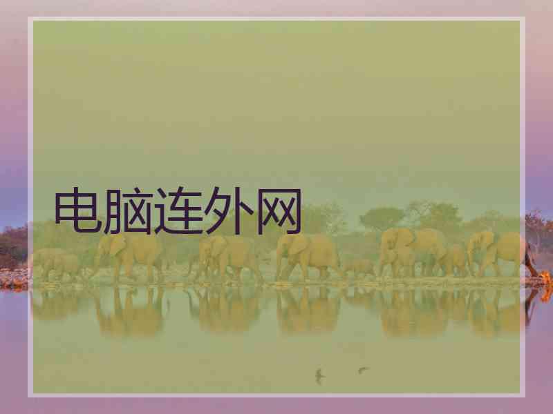 电脑连外网