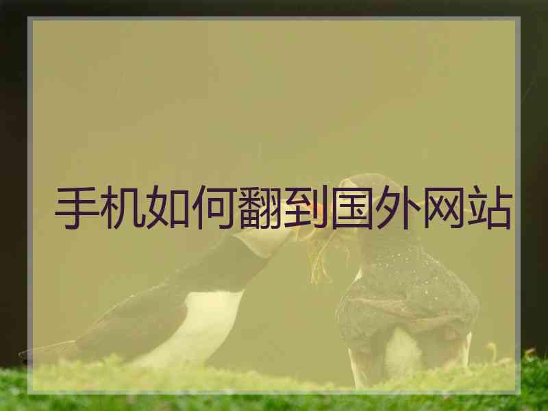手机如何翻到国外网站