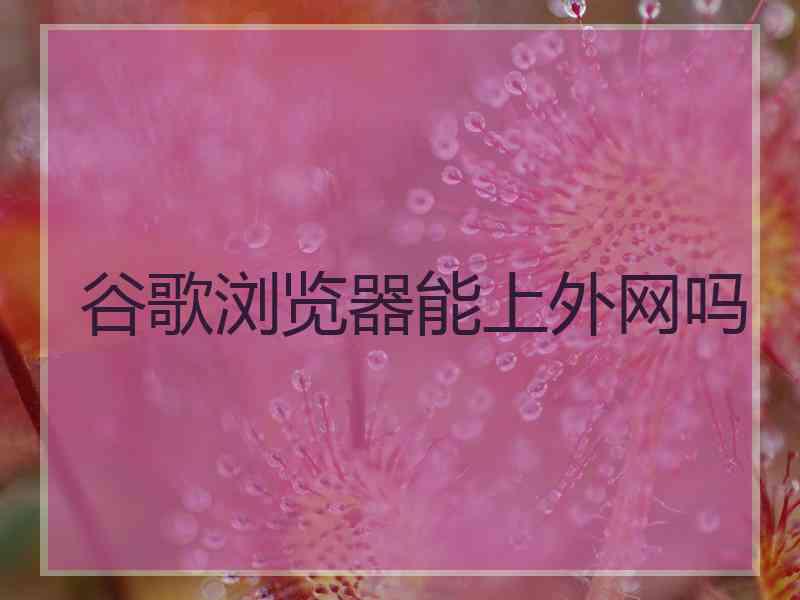 谷歌浏览器能上外网吗