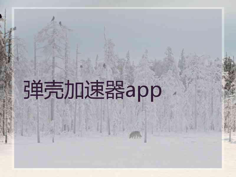 弹壳加速器app