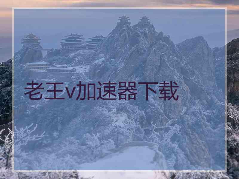 老王v加速器下载