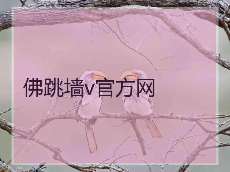 佛跳墙v官方网