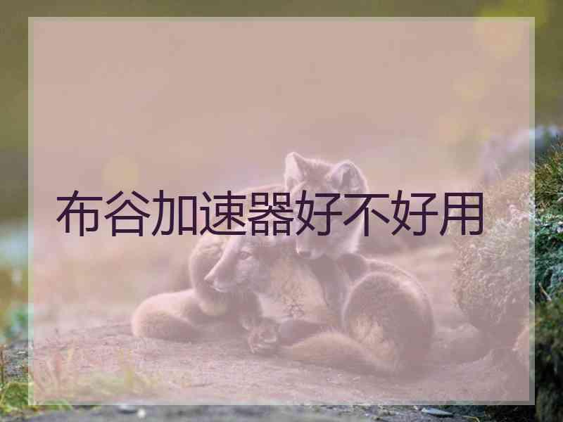 布谷加速器好不好用