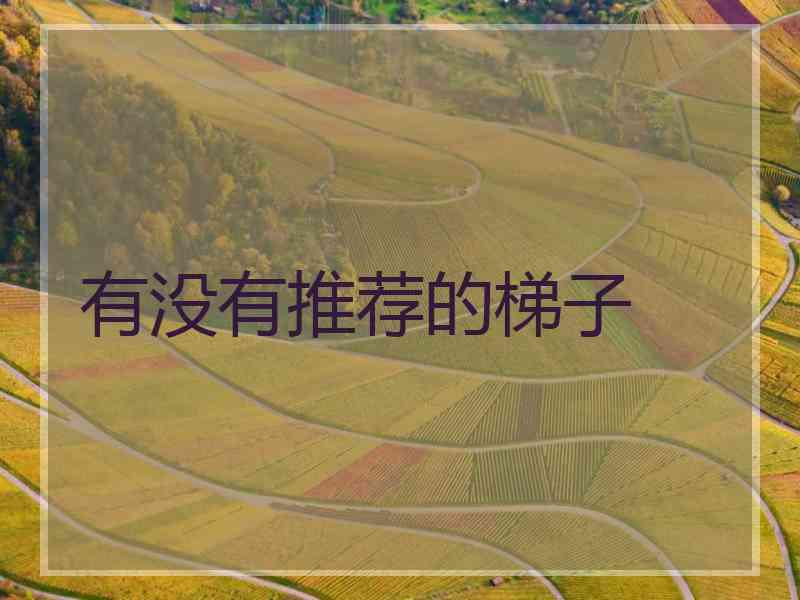 有没有推荐的梯子