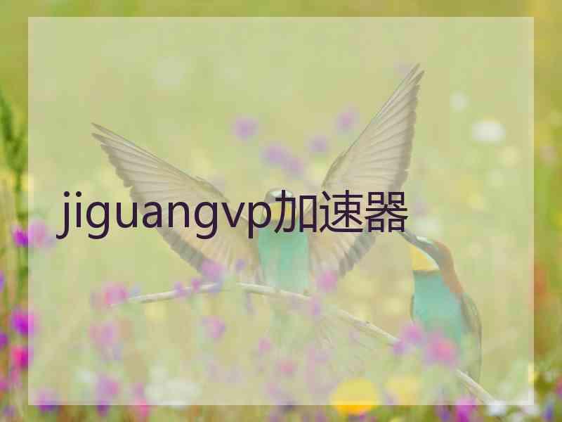 jiguangvp加速器
