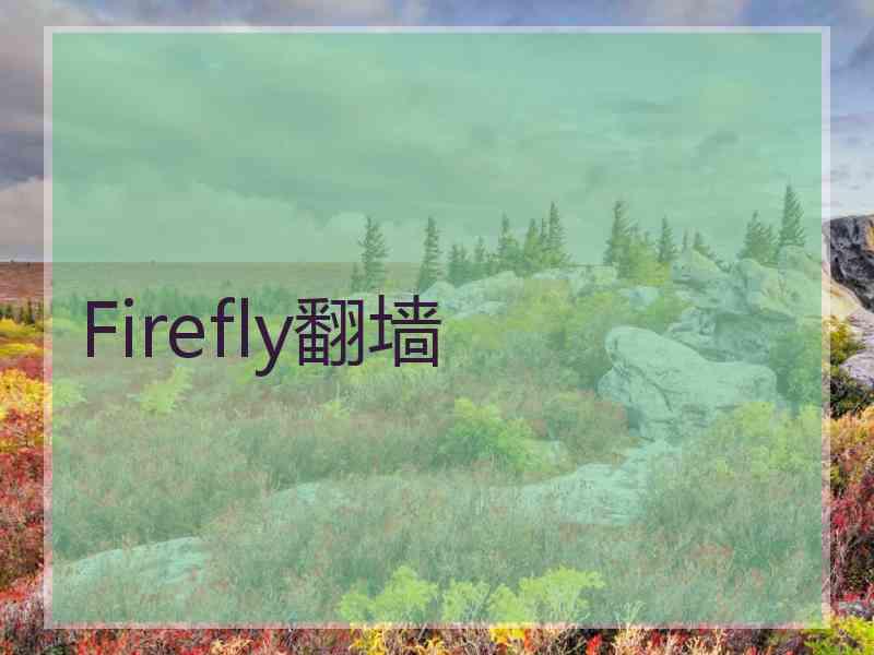 Firefly翻墙