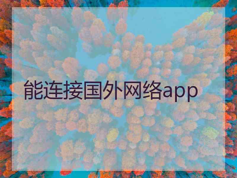 能连接国外网络app