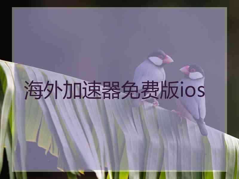 海外加速器免费版ios