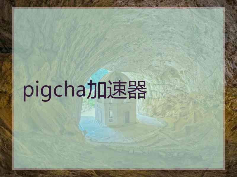 pigcha加速器